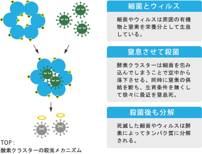 酸素クラスターの殺菌メカニズム